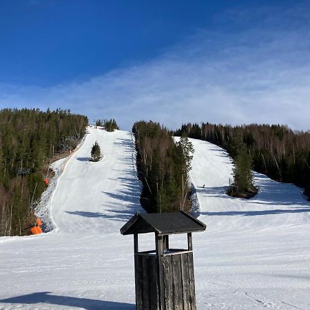 Ferienwohnung Raemsbyns Fritidsby, Naera Romme Alpin Idkerberget Exterior foto