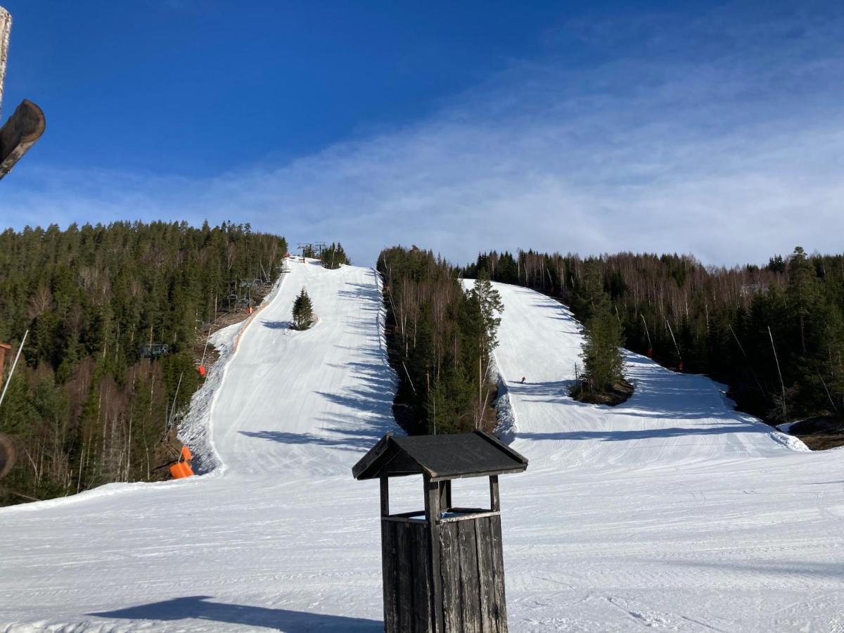 Ferienwohnung Raemsbyns Fritidsby, Naera Romme Alpin Idkerberget Exterior foto